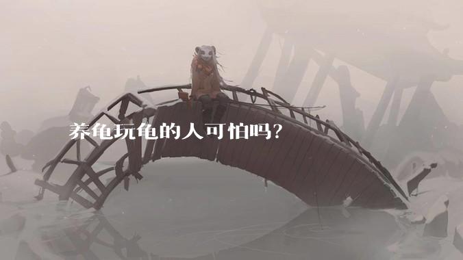 养龟玩龟的人可怕吗？