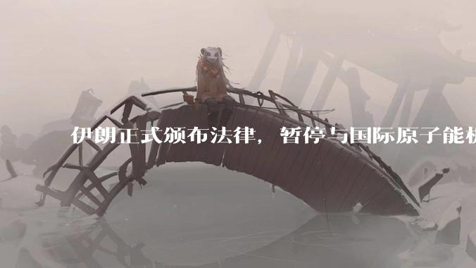 伊朗正式颁布法律，暂停与国际原子能机构合作，这意味着什么？