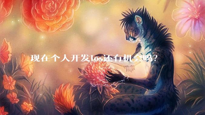 现在个人开发ios还有机会吗？
