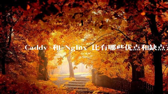 Caddy 和 Nginx 比有哪些优点和缺点？