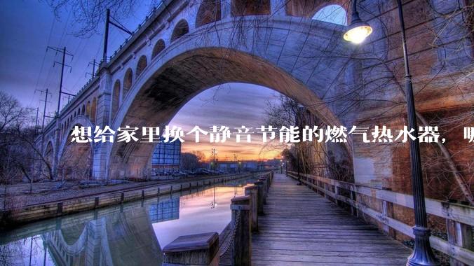 想给家里换个静音节能的燃气热水器，哪个品牌比较好？
