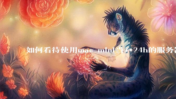 如何看待使用mac mini当7*24h的服务器？