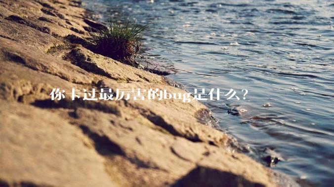 你卡过最厉害的bug是什么？