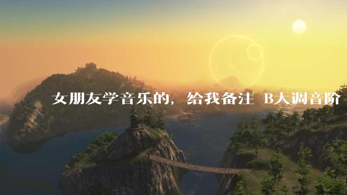 女朋友学音乐的，给我备注 B大调音阶 是什么含义呢？